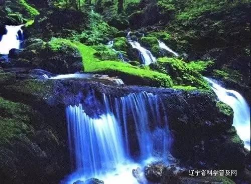 调饺子馅时,用热油还是冷油?大厨告诉你正确答案,错不了
